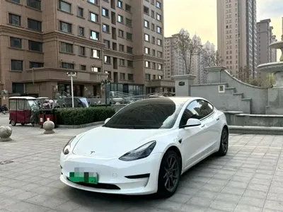 Tesla Model 3 · 2022 год