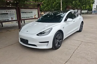 Tesla Model 3 2019, 54400 км, за 114226.28 CNY - фото 1