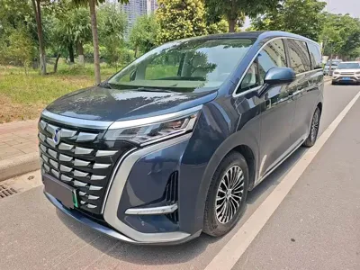 Denza Denza D9 · 2023 год