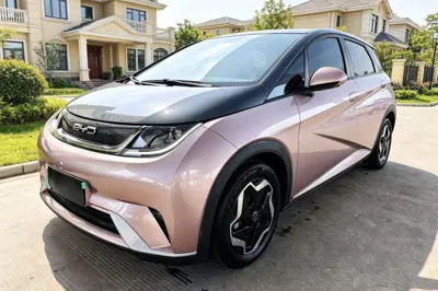 BYD Dolphin · 2021 год