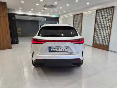 Lexus NX 2024, 55273 км, за 61000000 KRW