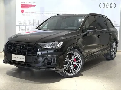 Audi Q7 · 2024 год