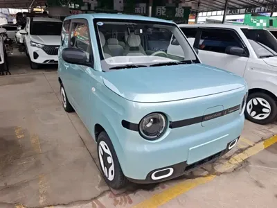 Galaxy Panda 2026, 100 км, за 38600 CNY