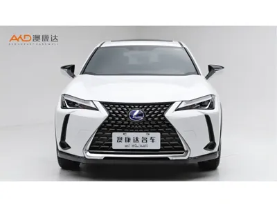 Lexus UX 2019, 46000 км, за 98000 CNY