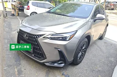 Lexus NX · 2022 год