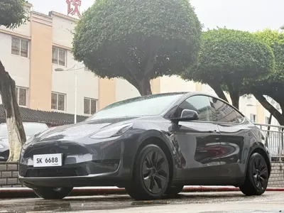 Tesla Model Y · 2024 год