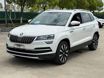 Skoda Karoq · 2020 год
