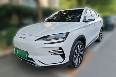 BYD Song PLUS New Energy · 2023 год