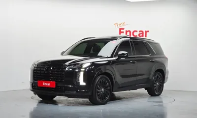 Hyundai Palisade · 2024 год