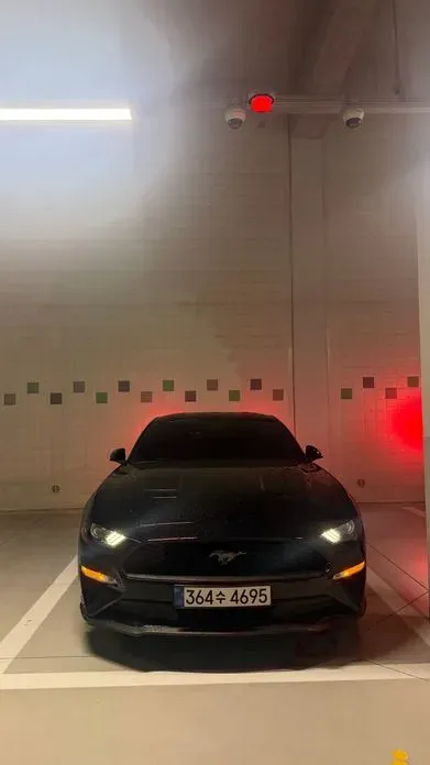 Ford Mustang 2019, 70800 км, за 23800000 KRW - фото 7