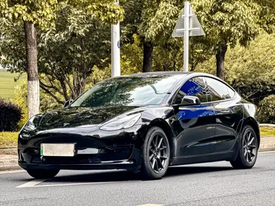 Tesla Model 3 · 2021 год