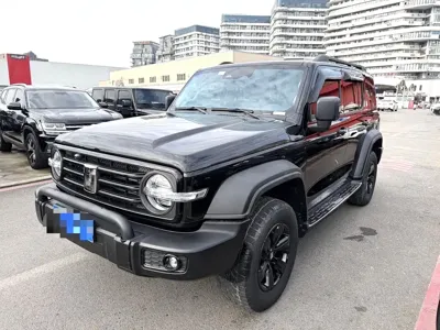 Tank Tank 300 · 2021 год