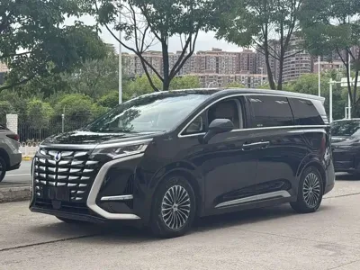 Denza Denza D9 · 2023 год
