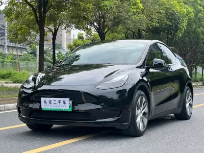 Tesla Model Y · 2023 год