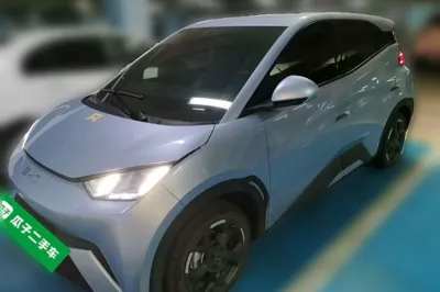 BYD Seagull · 2024 год
