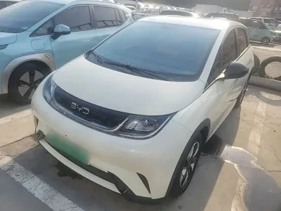 BYD Dolphin · 2024 год