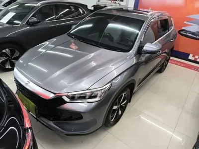 BYD Pro New Energy · 2024 год