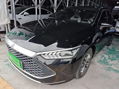 BYD Qin Plus · 2024 год