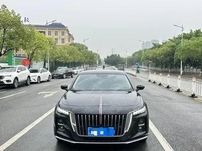 Hongqi Hongqi H5 2023, 40000 км, за 85000 CNY