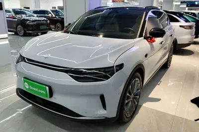 Leapmotor C11 · 2024 год