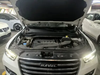 Haval H6 2021, 74100 км, за 45900 CNY - фото 20