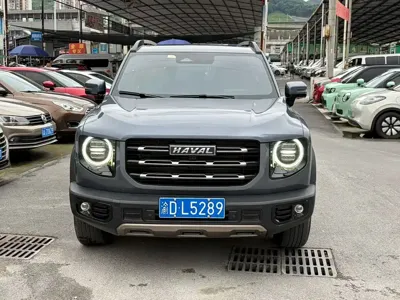 Haval Big Dog 2021, 54000 км, за 61800 CNY - фото 2