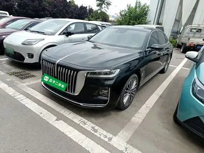 Hongqi Hongqi H9 · 2022 год