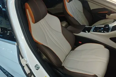 BYD Song Pro New Energy 2022, 70900 км, за 103689.43 CNY - фото 19