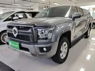 Great Wall King Kong Pao · 2025 год