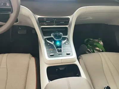 BYD Pro New Energy 2022, 85399 км, за 59400 CNY - фото 14
