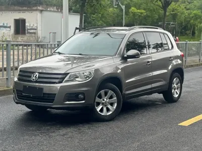 Volkswagen Tiguan · 2010 год