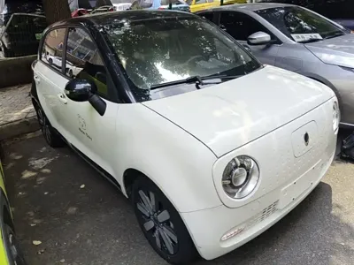 ORA Ora Black Cat 2021, 72200 км, за 34300 CNY