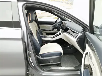 BYD PLUS New Energy 2023, 76900 км, за 72900 CNY - фото 23